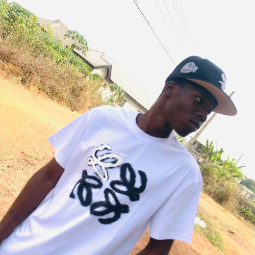 Hammed  A. profile photo