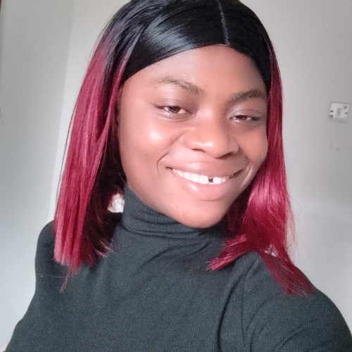 CEO N. profile photo