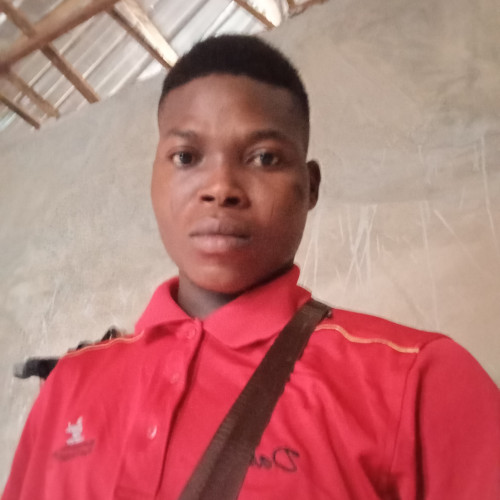 Francesco F. profile photo