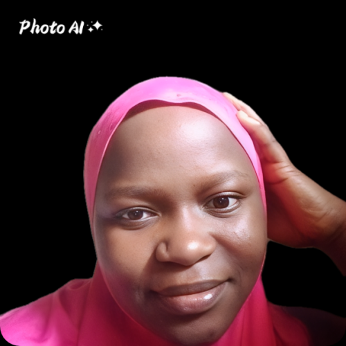 Olasunkanmi K. profile photo