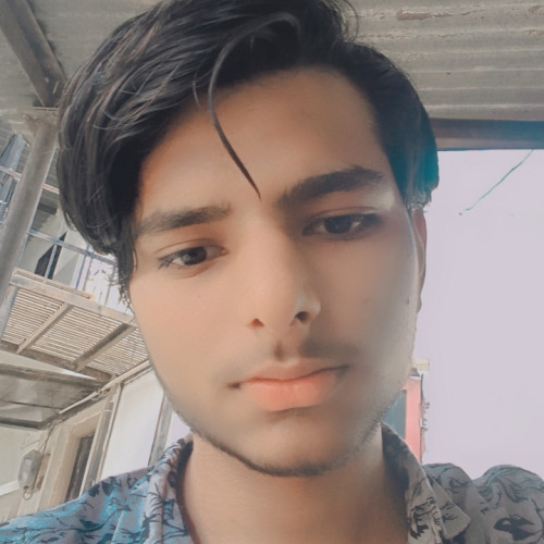 Bashir p. profile photo