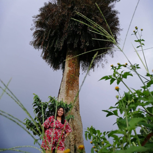 Nova Marie P. profile photo