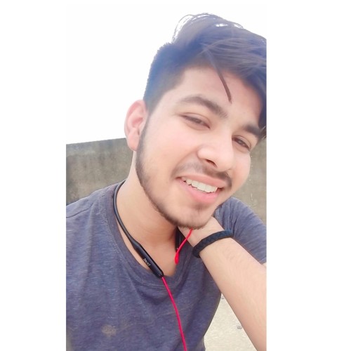 Ansh S.