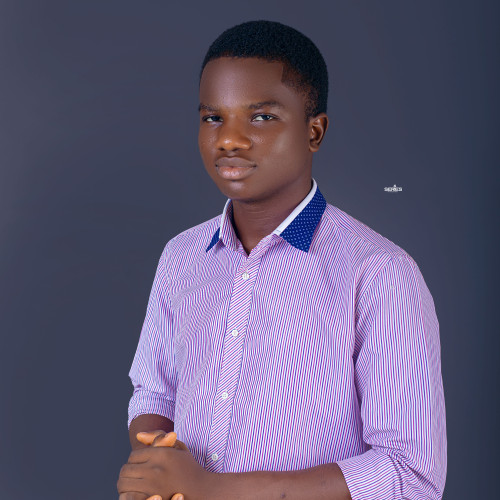 Damilola O. profile photo