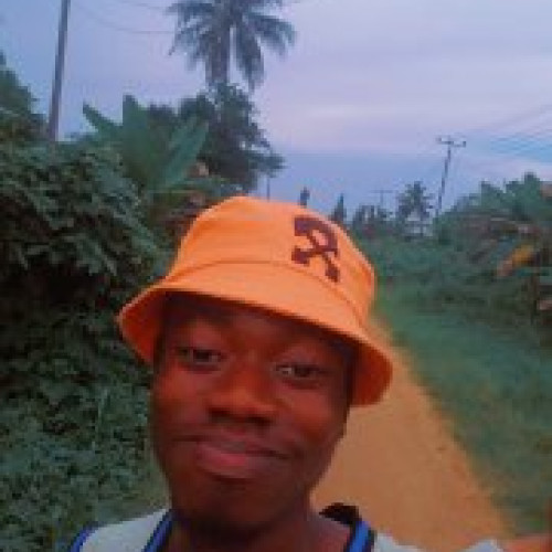 Chibuike E. profile photo