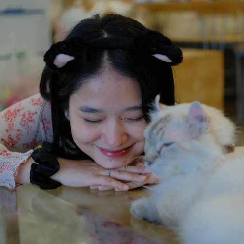 Khun Cho N. profile photo