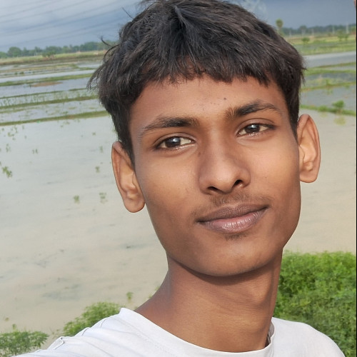 Ayan  S. profile photo