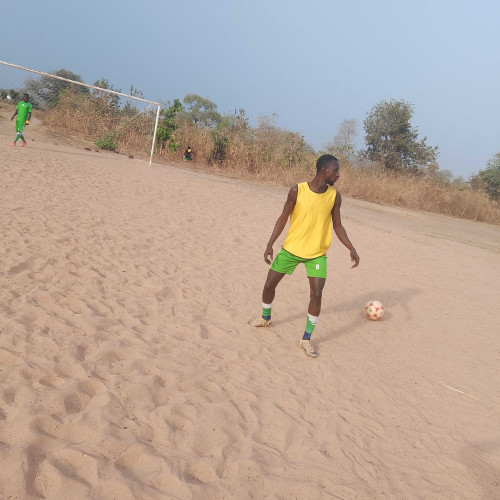lamin mk s.