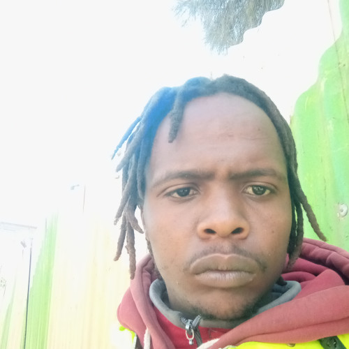 Moses M. profile photo