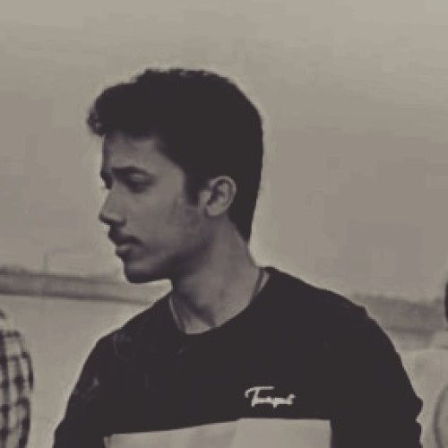 Ankur  K.