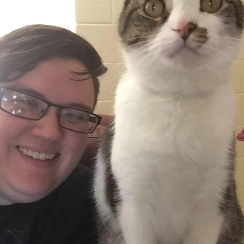 Allister H. profile photo