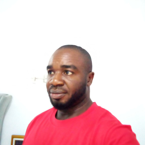 Iheonunekwu  S. profile photo