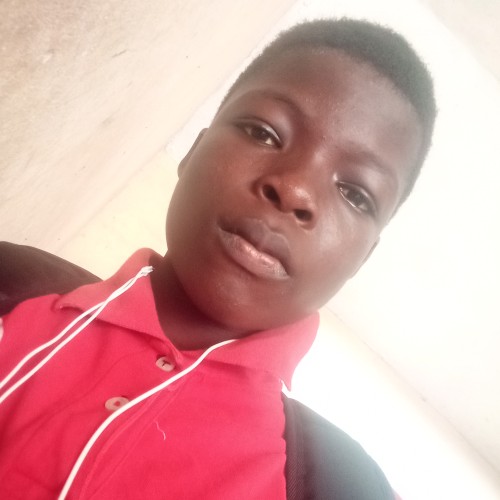 Daniel  F. profile photo