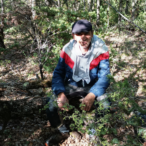 Carlos  L. profile photo