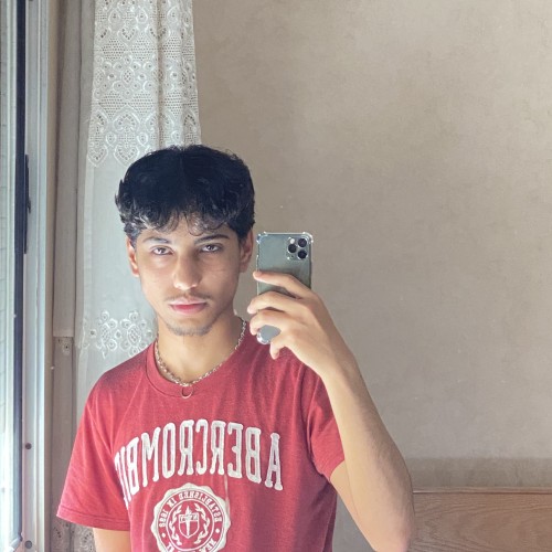 mohiyddine h.