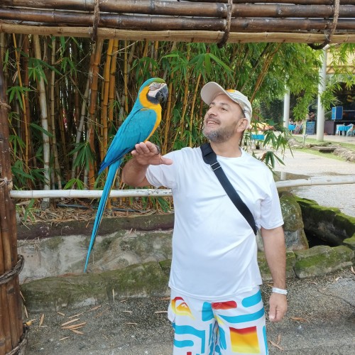 Luis R. profile photo