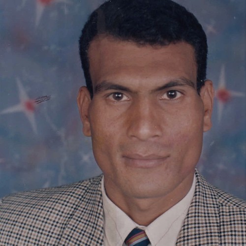sayed H. profile photo