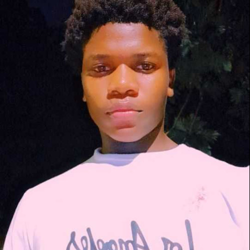 Davis B. profile photo