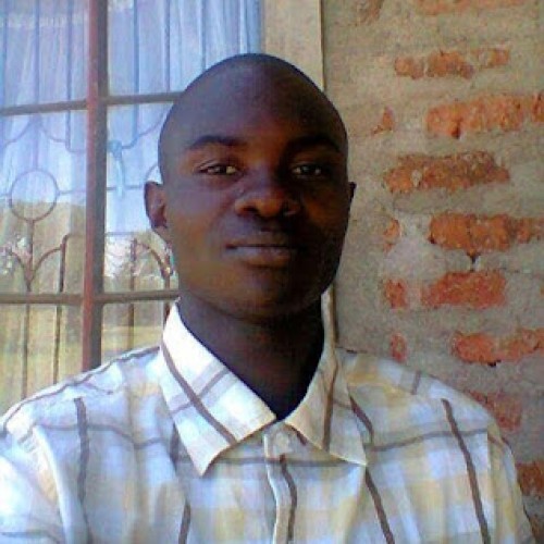Steve A.