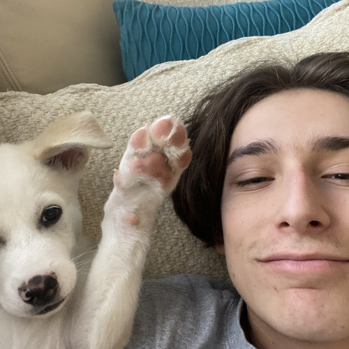 Mateo C. profile photo