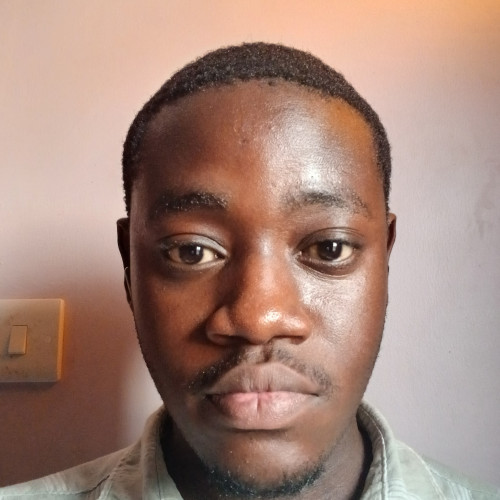 David D. profile photo