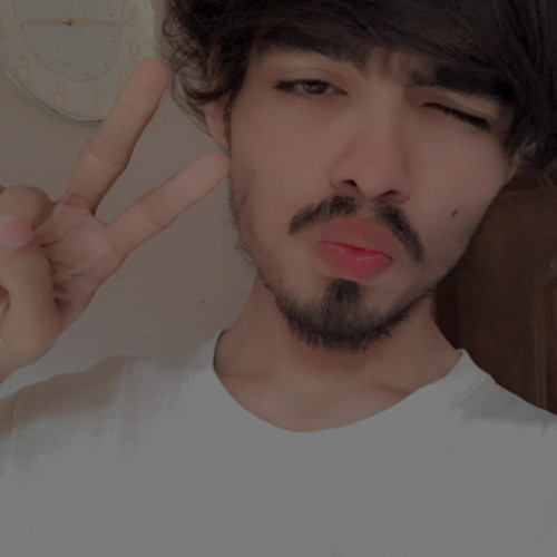Zulfiqar A. profile photo