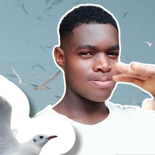 David  W. profile photo