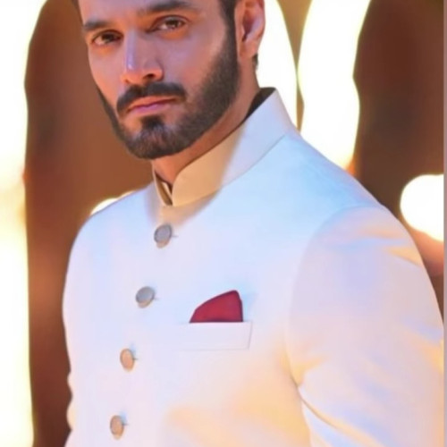 Naseeb N. profile photo