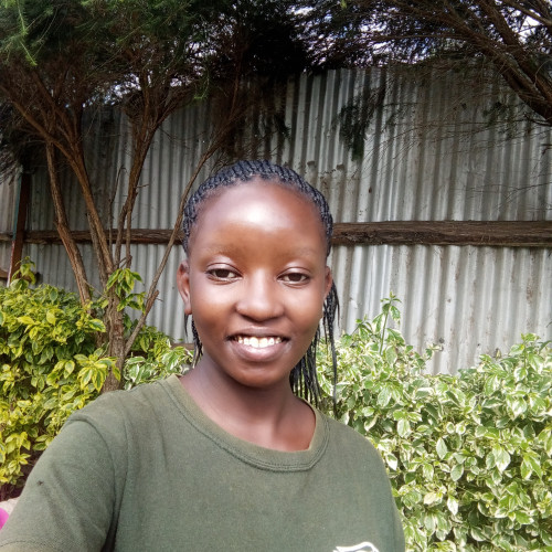 Vivian N. profile photo