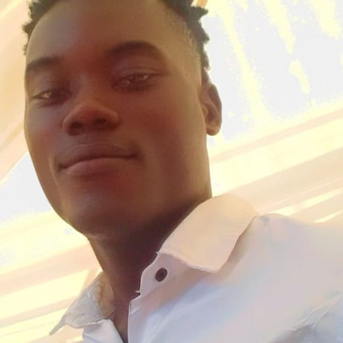 Adebayo S. profile photo