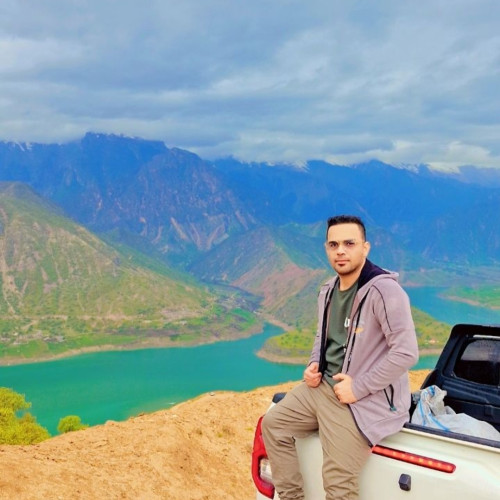 Mahmoud A.