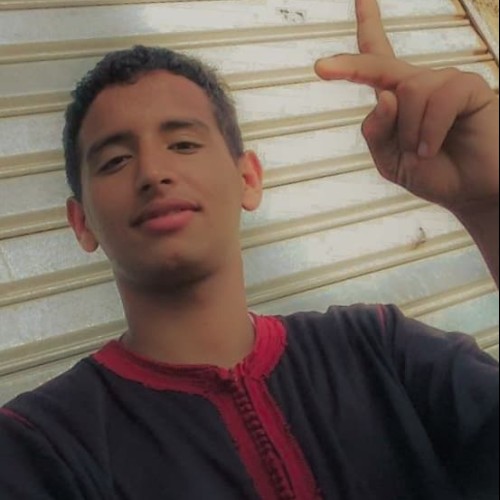 Nourddin  P. profile photo