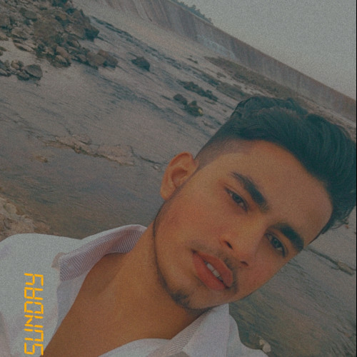 Arman M.