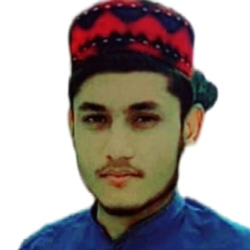 Muhammad  Z.