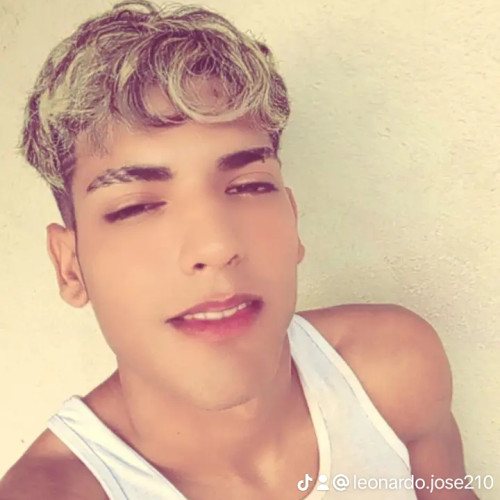 Leonardo  P.