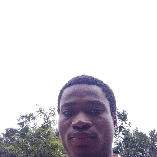 nwizi N.