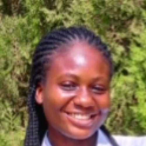 Godwin  P. profile photo