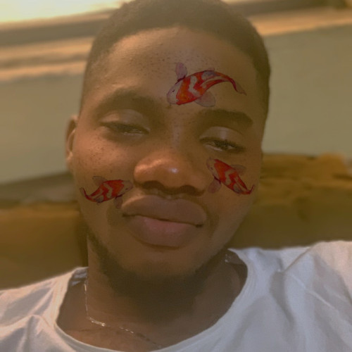 Oluwatobiloba  A. profile photo