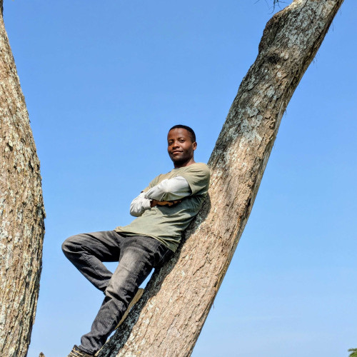 Hiladius S. profile photo