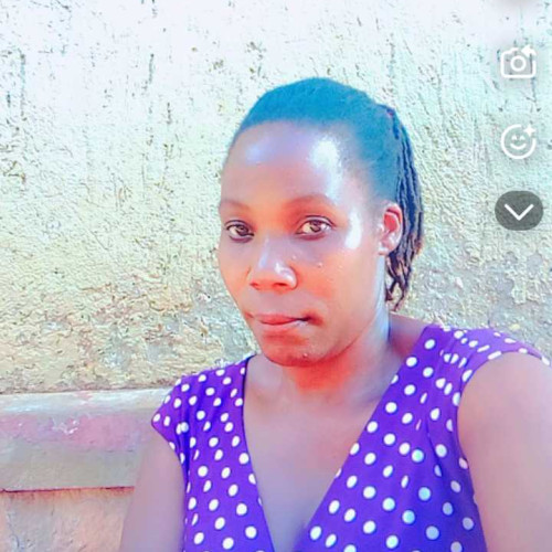 Brexo m. profile photo
