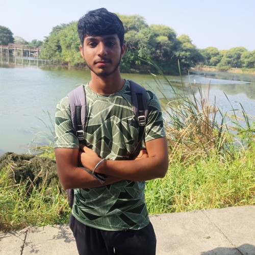 Hardik R.