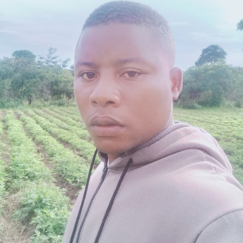 Majuto B. profile photo