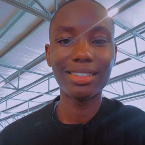 Somto E. profile photo