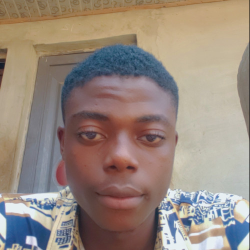 Adeolu G. profile photo