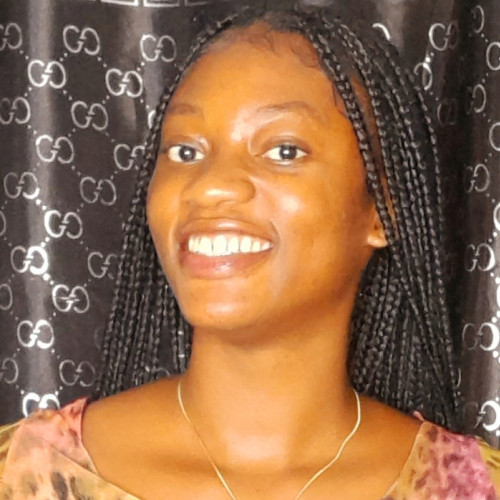 Damilola  S. profile photo