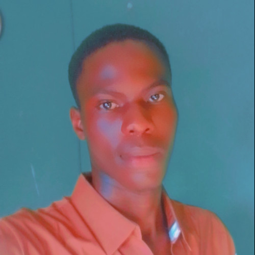 Kingsley  M. profile photo