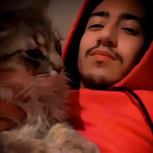 abdessamad b. profile photo
