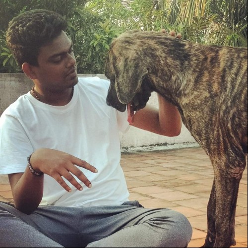 Robin  R. profile photo