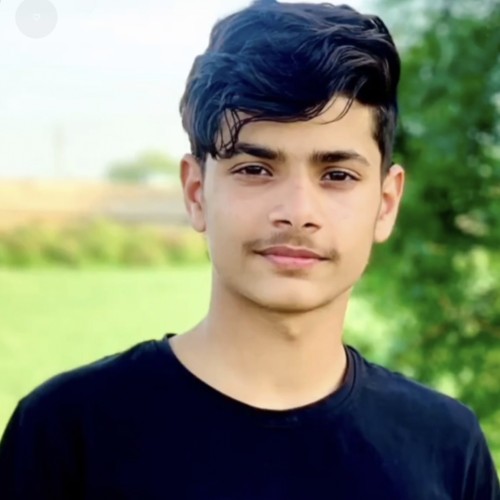 Harsh M.