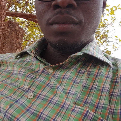 N'golo  Fatogoma B. profile photo